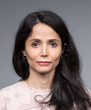  Fatemeh Nargesian, PhD