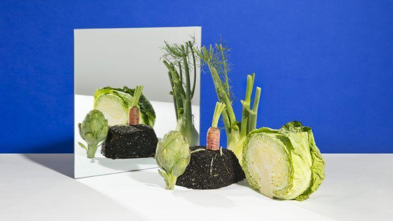 Vegetables staged against a blue background