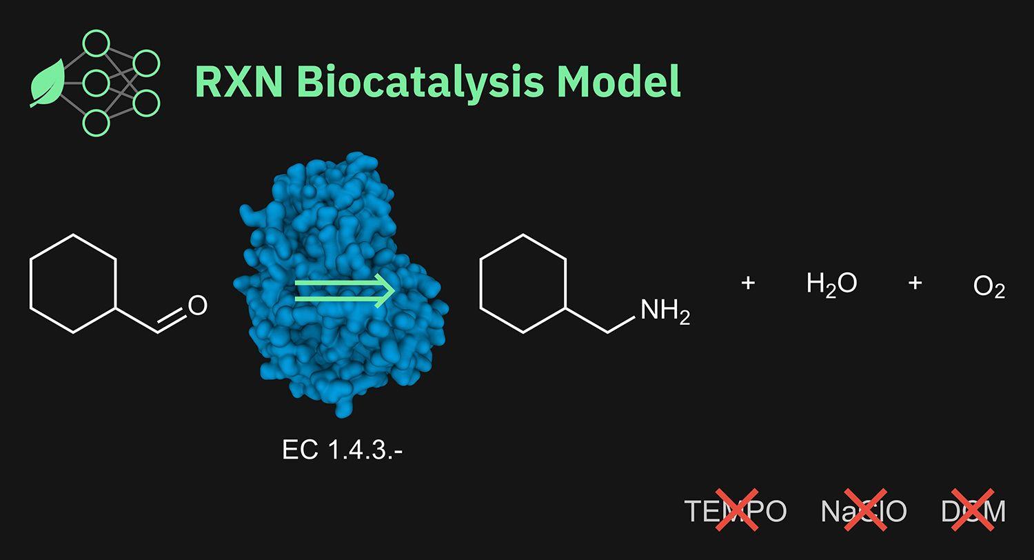 RXN biocatalysis model